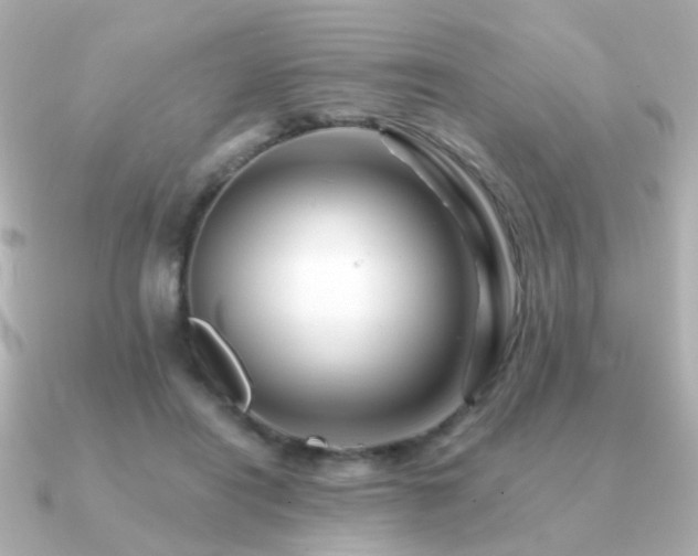 X0000091190454200708091252
