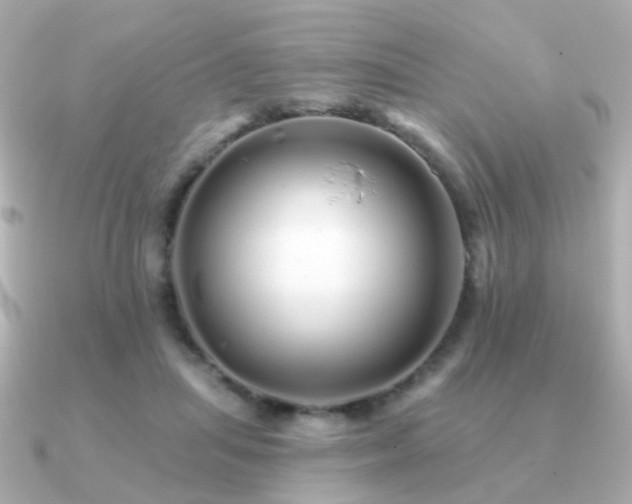 X0000091190455200708091252