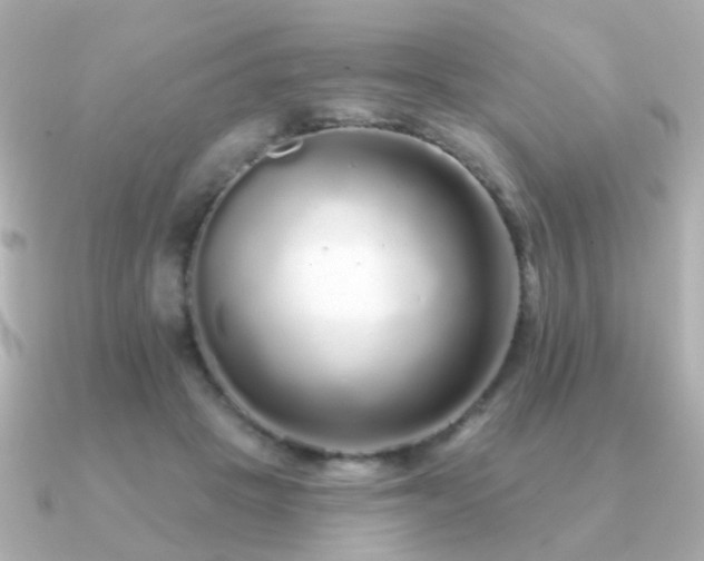 X0000091190457200708091252