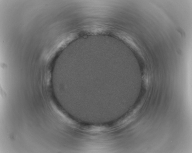 X0000091190458200708091252