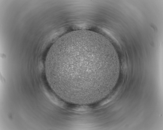 X0000091190459200708091252