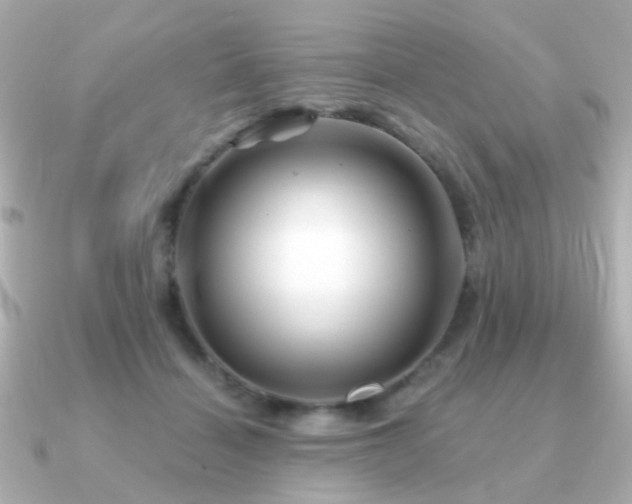 X0000091190460200708091252
