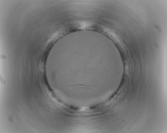 X0000091190461200708091252