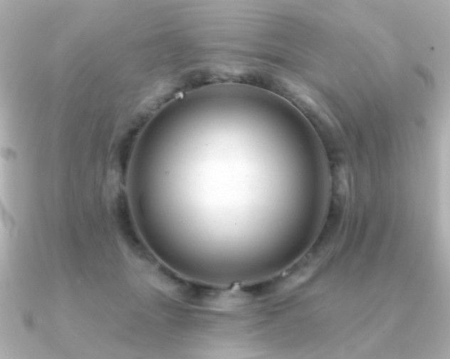 X0000091190463200708091252
