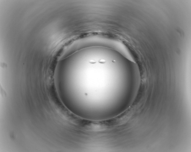 X0000091190464200708091252