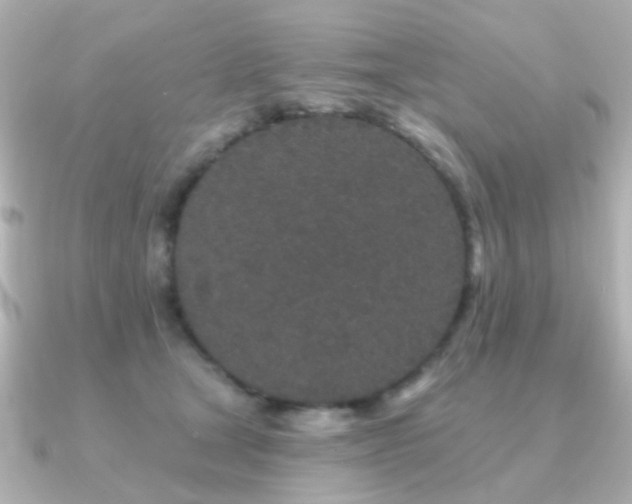 X0000091190465200708091252