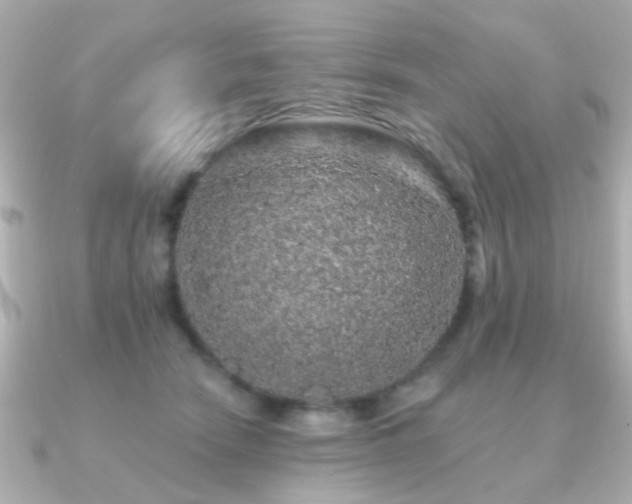 X0000091190466200708091252