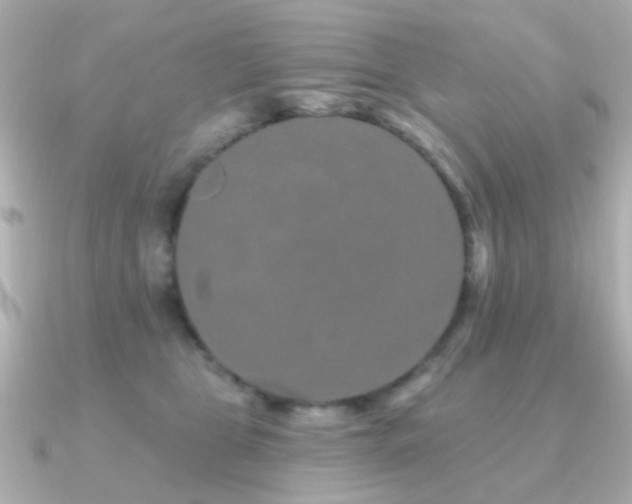 X0000091190469200708091252