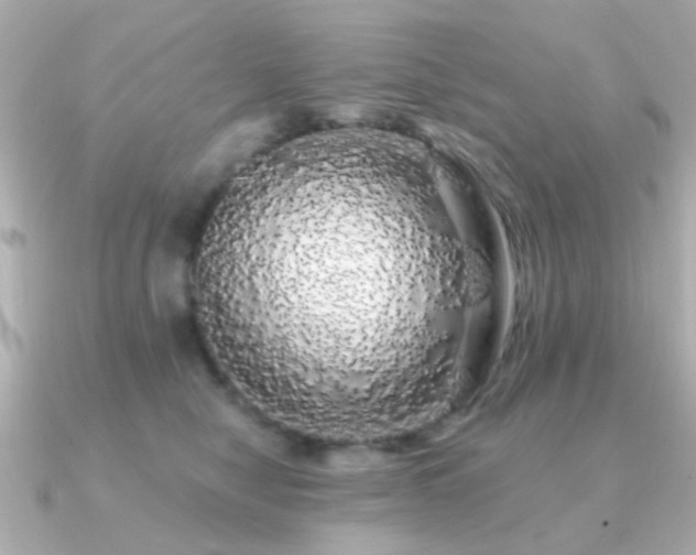 X0000091190470200708091252