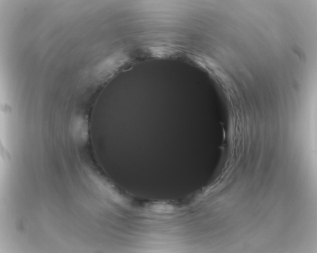 X0000091190471200708091252