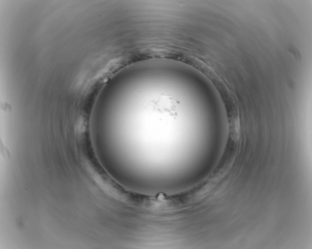 X0000091190472200708091252