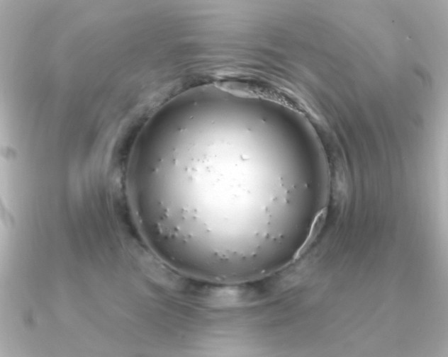 X0000091190473200708091252