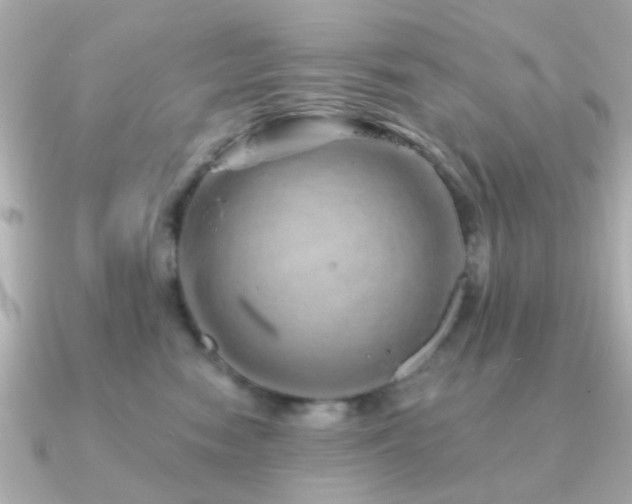 X0000091190474200708091252