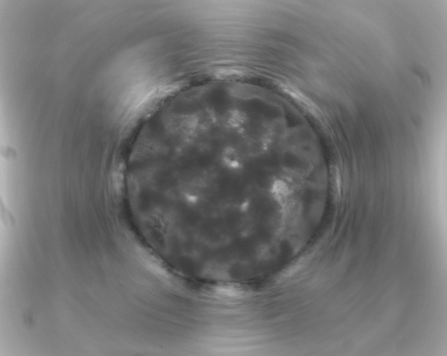 X0000091190475200708091252