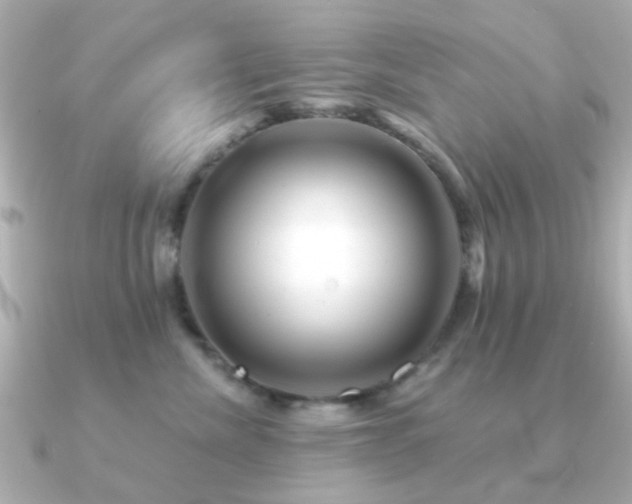X0000091190476200708091252