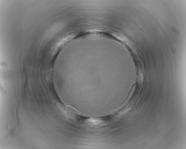 X0000091190477200708091252