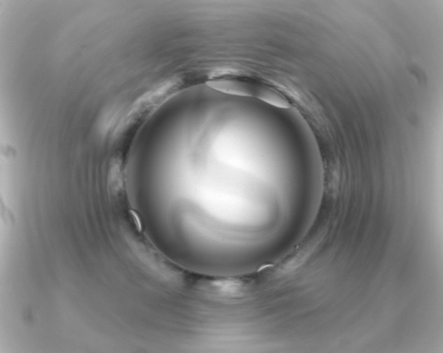 X0000091190478200708091252