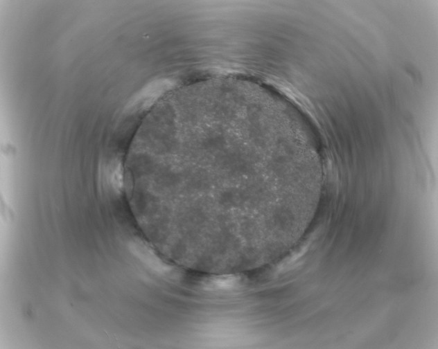 X0000091190479200708091252