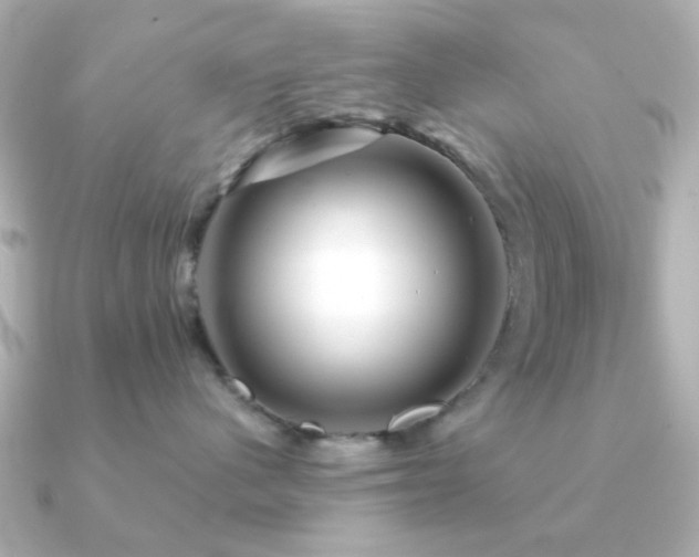 X0000091190480200708091252