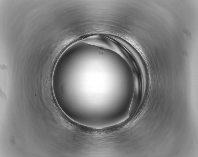 X0000091190481200708091252