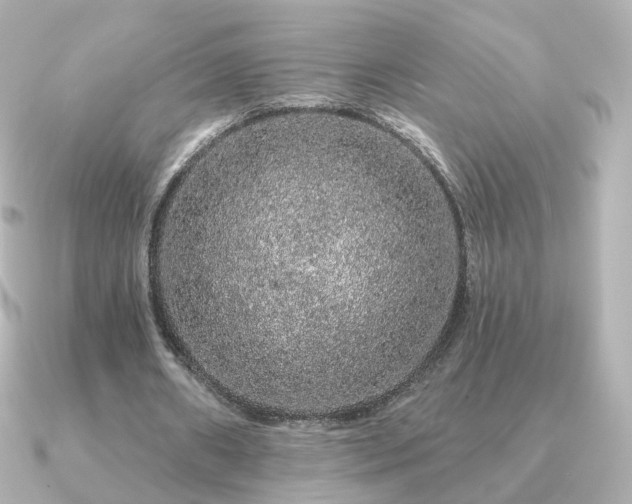 X0000091190482200708091252