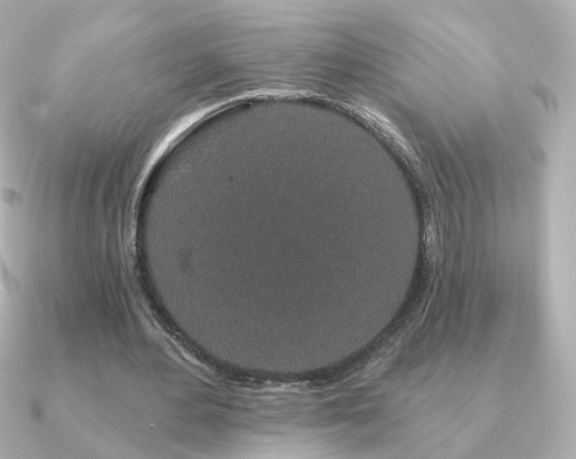 X0000091190484200708091252