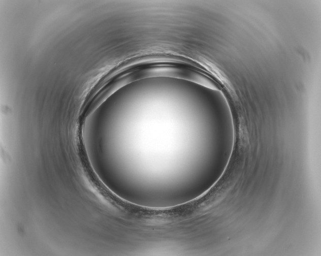X0000091190485200708091252