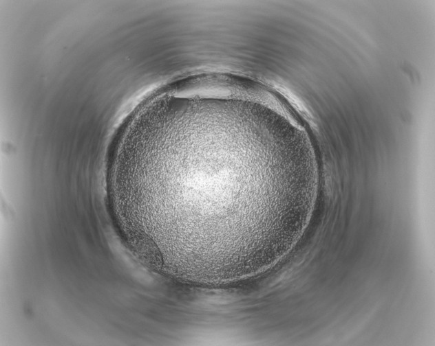 X0000091190486200708091252
