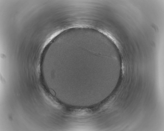 X0000091190488200708091252