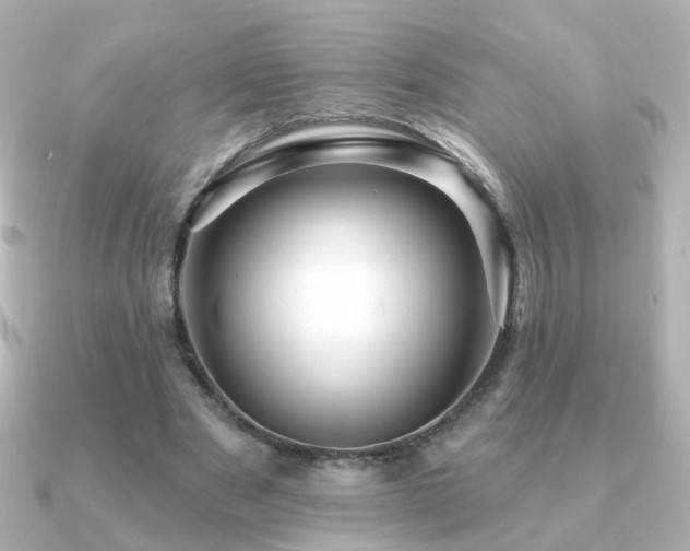 X0000091190489200708091252