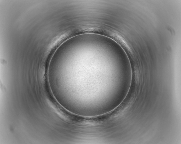 X0000091190490200708091252