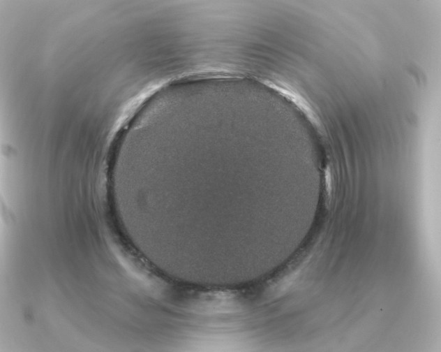 X0000091190492200708091252