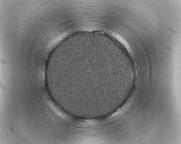 X0000091190493200708091252