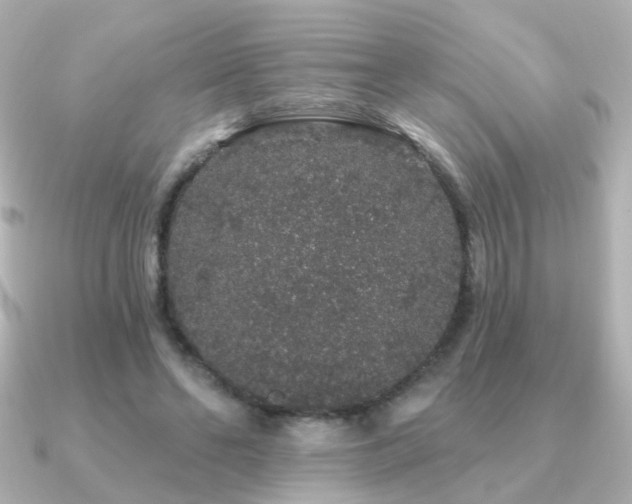 X0000091190494200708091252