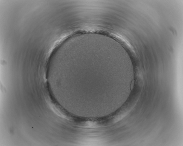 X0000091190496200708091252