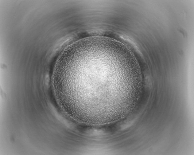 X0000091190498200708091252