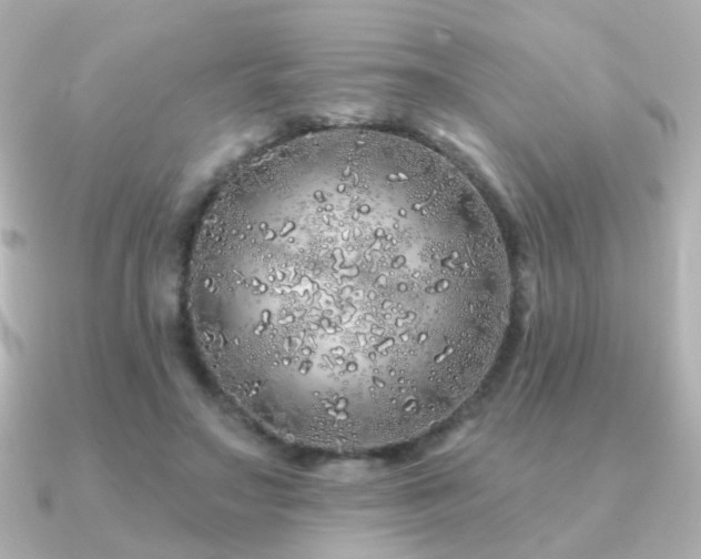 X0000091190499200708091252