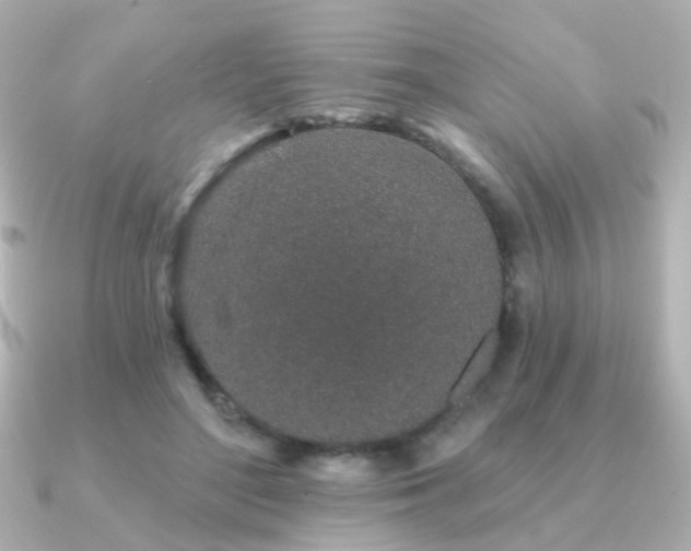 X0000091190500200708091252