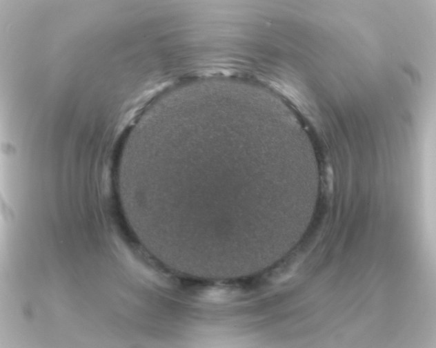 X0000091190504200708091252