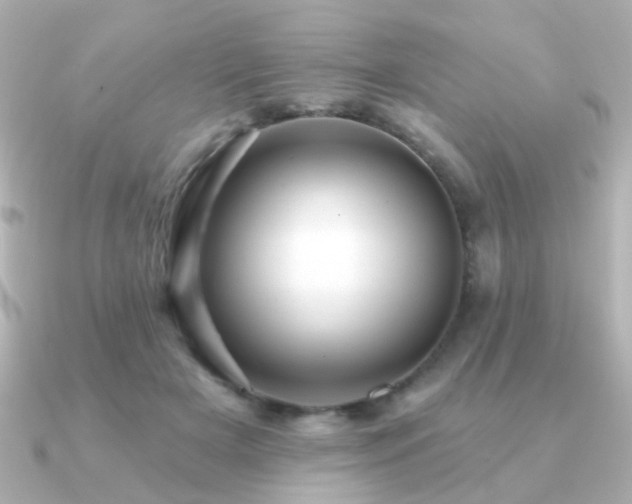 X0000091190505200708091252