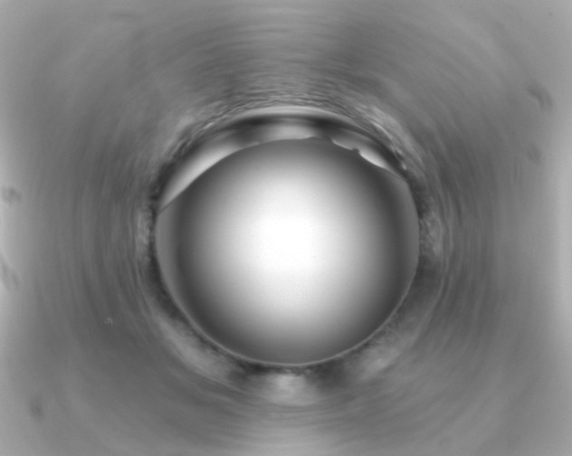 X0000091190509200708091252
