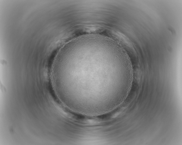 X0000091190510200708091252