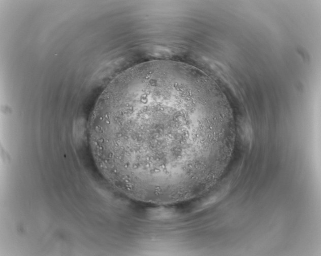 X0000091190511200708091252