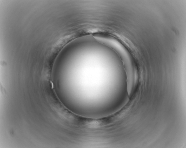 X0000091190513200708091252