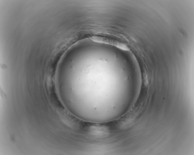 X0000091190515200708091251