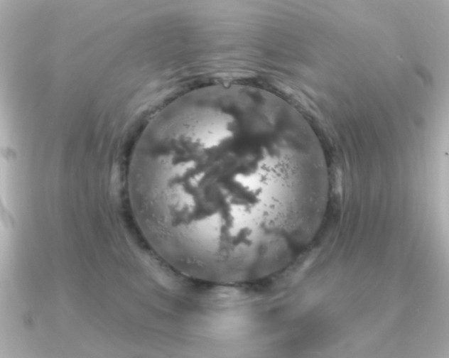 X0000091190519200708091251