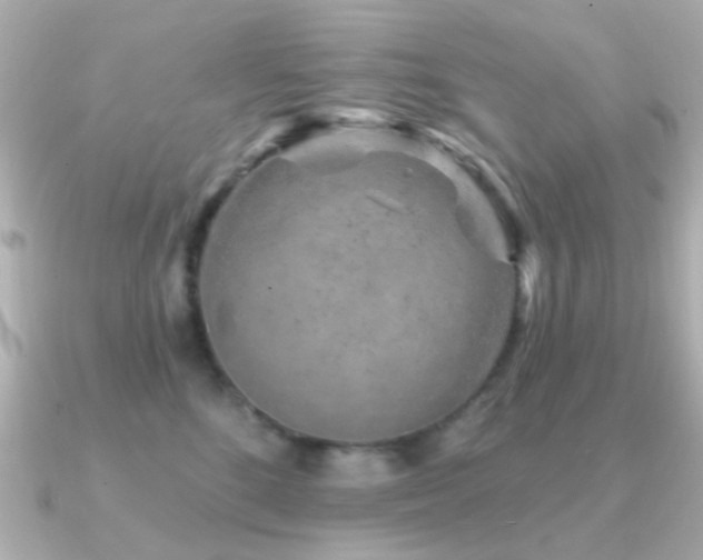 X0000091190520200708091251