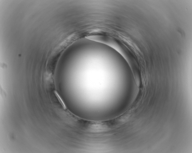 X0000091190521200708091251