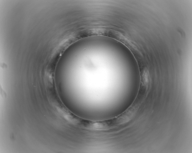 X0000091190522200708091251