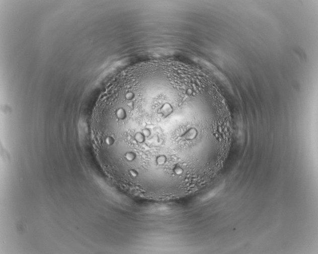 X0000091190523200708091251